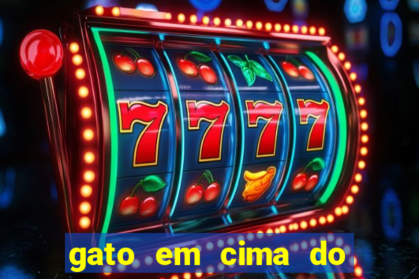 gato em cima do telhado significado espiritual