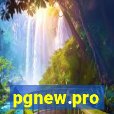 pgnew.pro