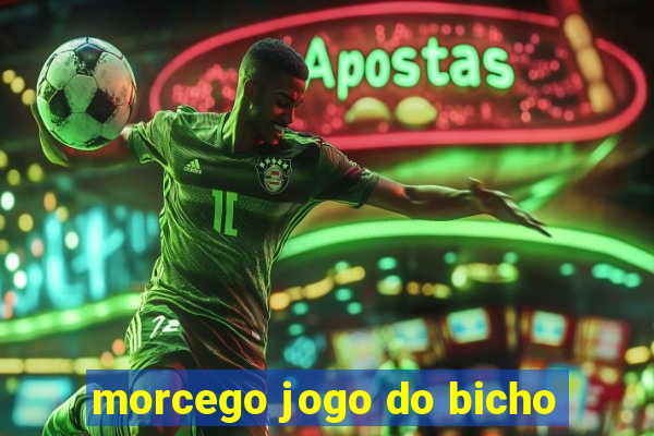 morcego jogo do bicho