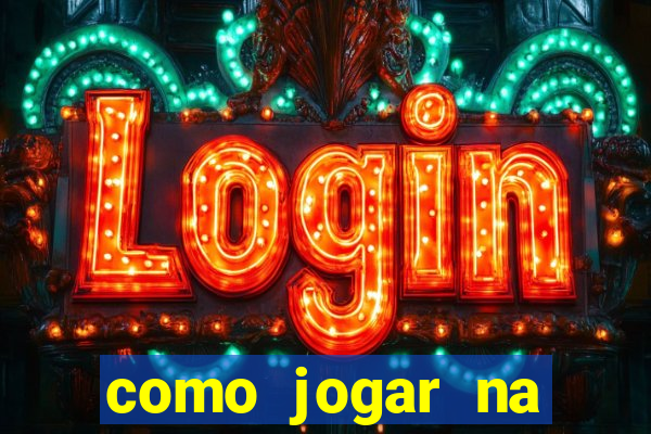 como jogar na lotinha do jogo do bicho