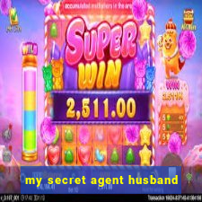 my secret agent husband