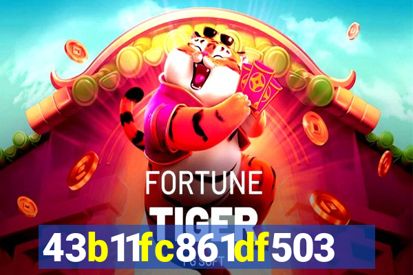 s55bet.net