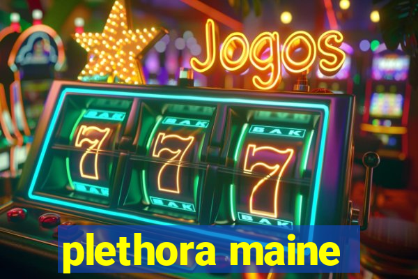 plethora maine