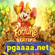 pgaaaa.net