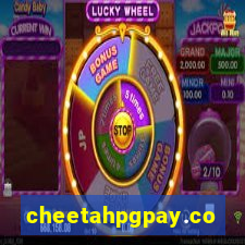 cheetahpgpay.com