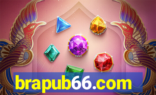 brapub66.com