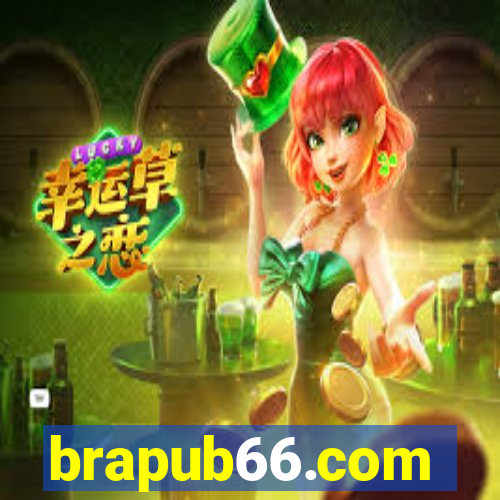 brapub66.com