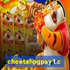 cheetahpgpay1.com