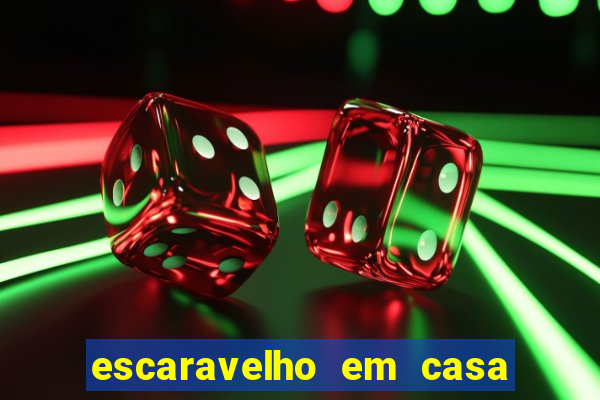 escaravelho em casa significado espiritual