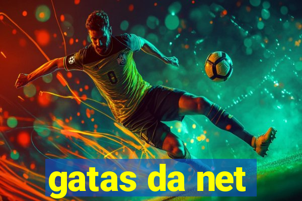 gatas da net