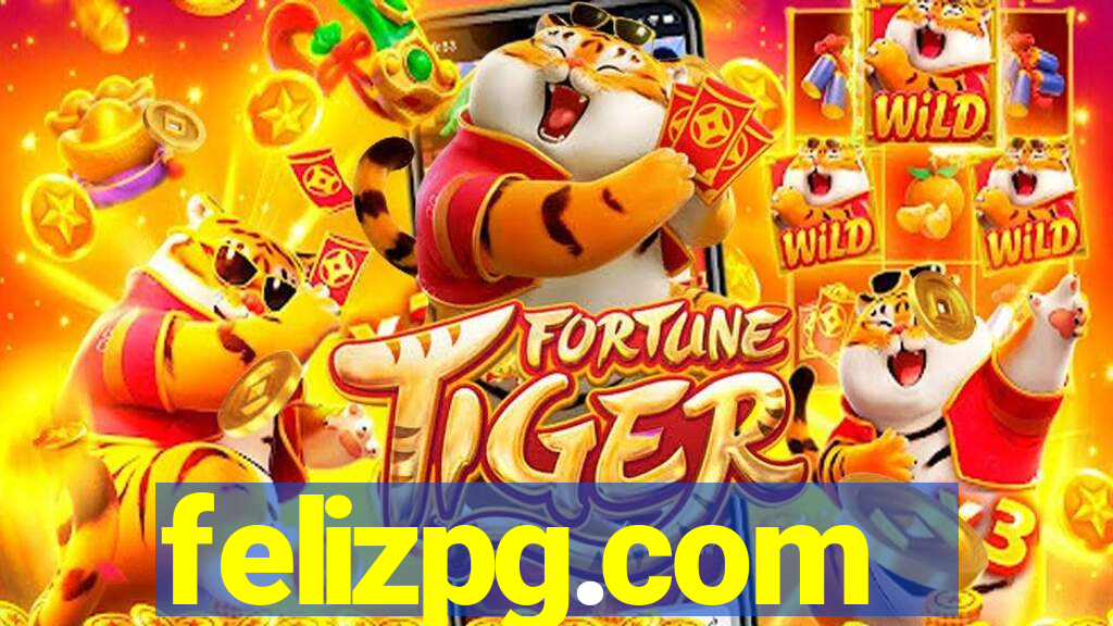 felizpg.com