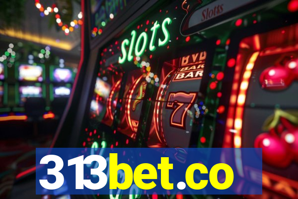 313bet.co