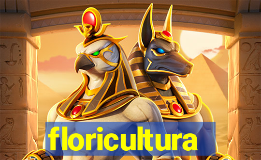 floricultura juazeiro bahia