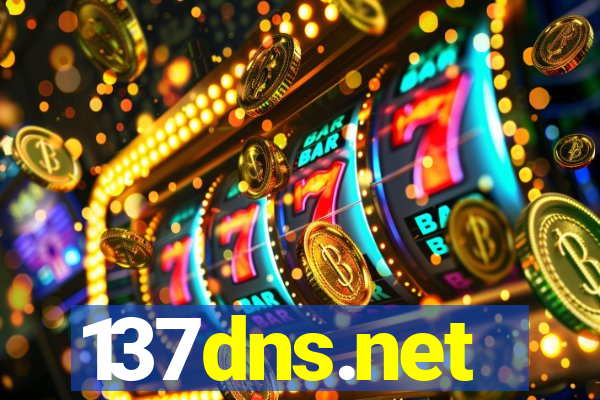 137dns.net