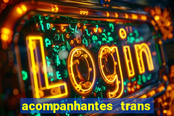 acompanhantes trans baixada fluminense