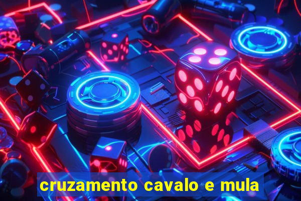 cruzamento cavalo e mula