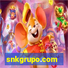 snkgrupo.com