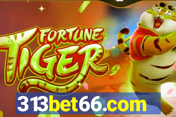 313bet66.com