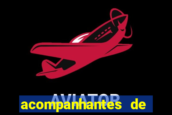 acompanhantes de luxo porto feliz