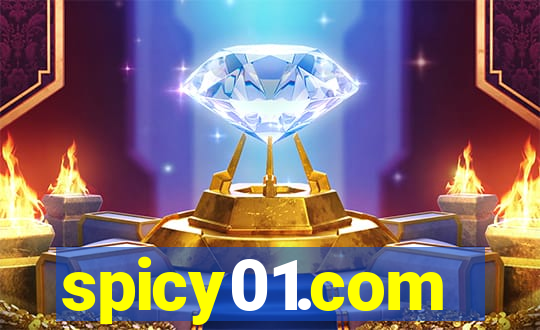spicy01.com