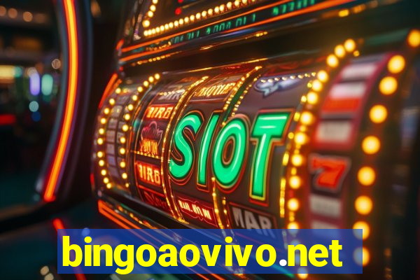 bingoaovivo.net