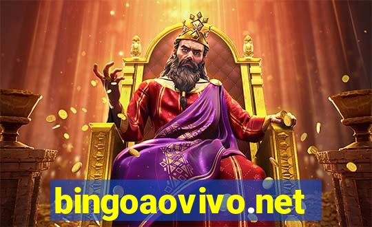 bingoaovivo.net