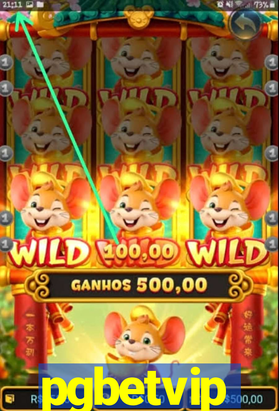 pgbetvip