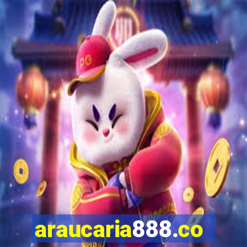 araucaria888.com