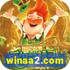 winaa2.com