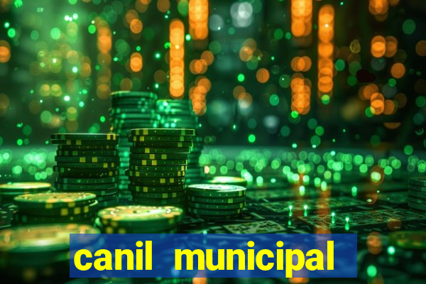 canil municipal porto alegre