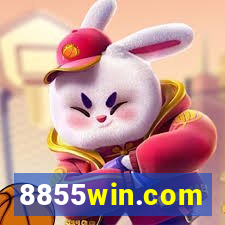 8855win.com