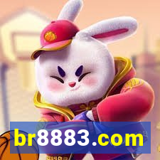 br8883.com