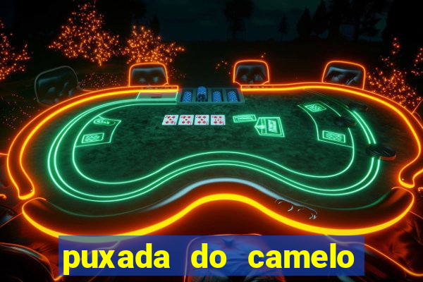 puxada do camelo jogo do bicho