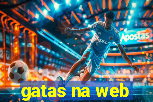 gatas na web