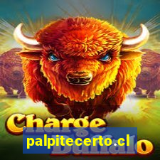 palpitecerto.club