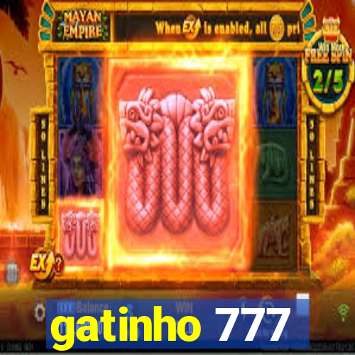 gatinho 777