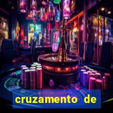 cruzamento de cavalo com mula