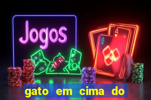 gato em cima do telhado significado espiritual