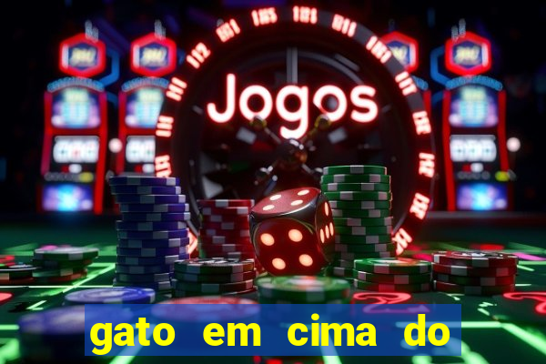 gato em cima do telhado significado espiritual