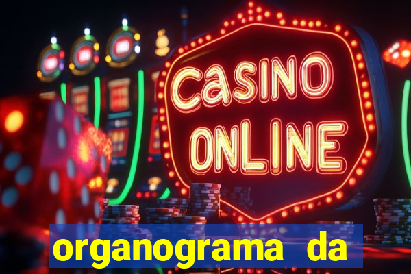 organograma da cacau show
