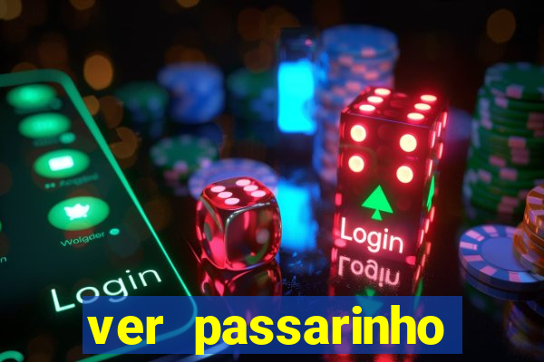 ver passarinho morto significado