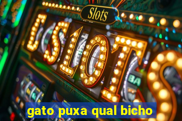gato puxa qual bicho