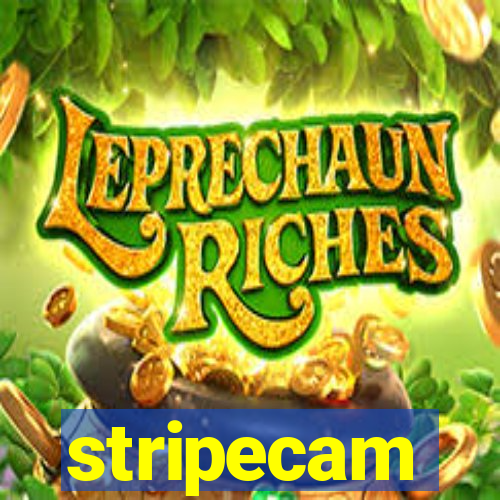 stripecam