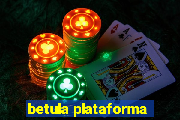 betula plataforma