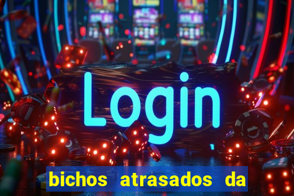 bichos atrasados da loteria federal
