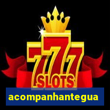 acompanhanteguanambi