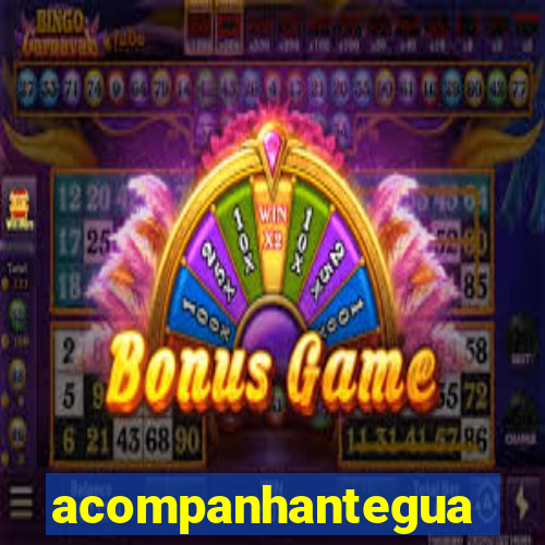 acompanhanteguanambi