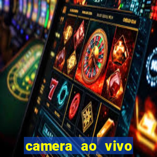 camera ao vivo terminal vila nova cachoeirinha