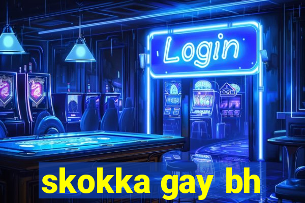 skokka gay bh