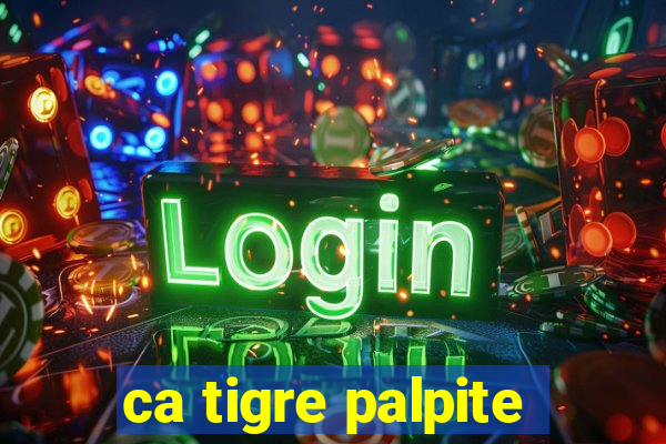 ca tigre palpite